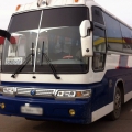 kia grandbird