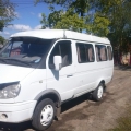 Газель