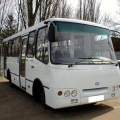 Городские автобусы