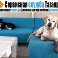 Грузоперевозки, грузчики, газели, химчистка мебели, стирка ковров