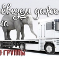 Грузоперевозки. Переезды с грузчиками по Пушкину, Колпино, Славянке и Павловску 450р