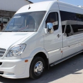 Mercedes Viano