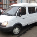 Газель