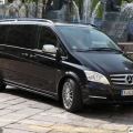 Mercedes Viano